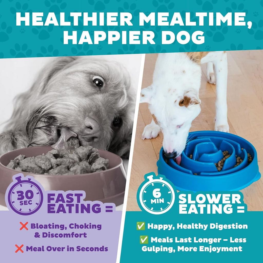 Outward Hound Fun Feeder Slo Bowl – Large 4‑Cup Capacity,Slow Feeding,Medium to Large Dogs,Non‑Slip,Orange,Swirl Pattern,(Pack of 6)
