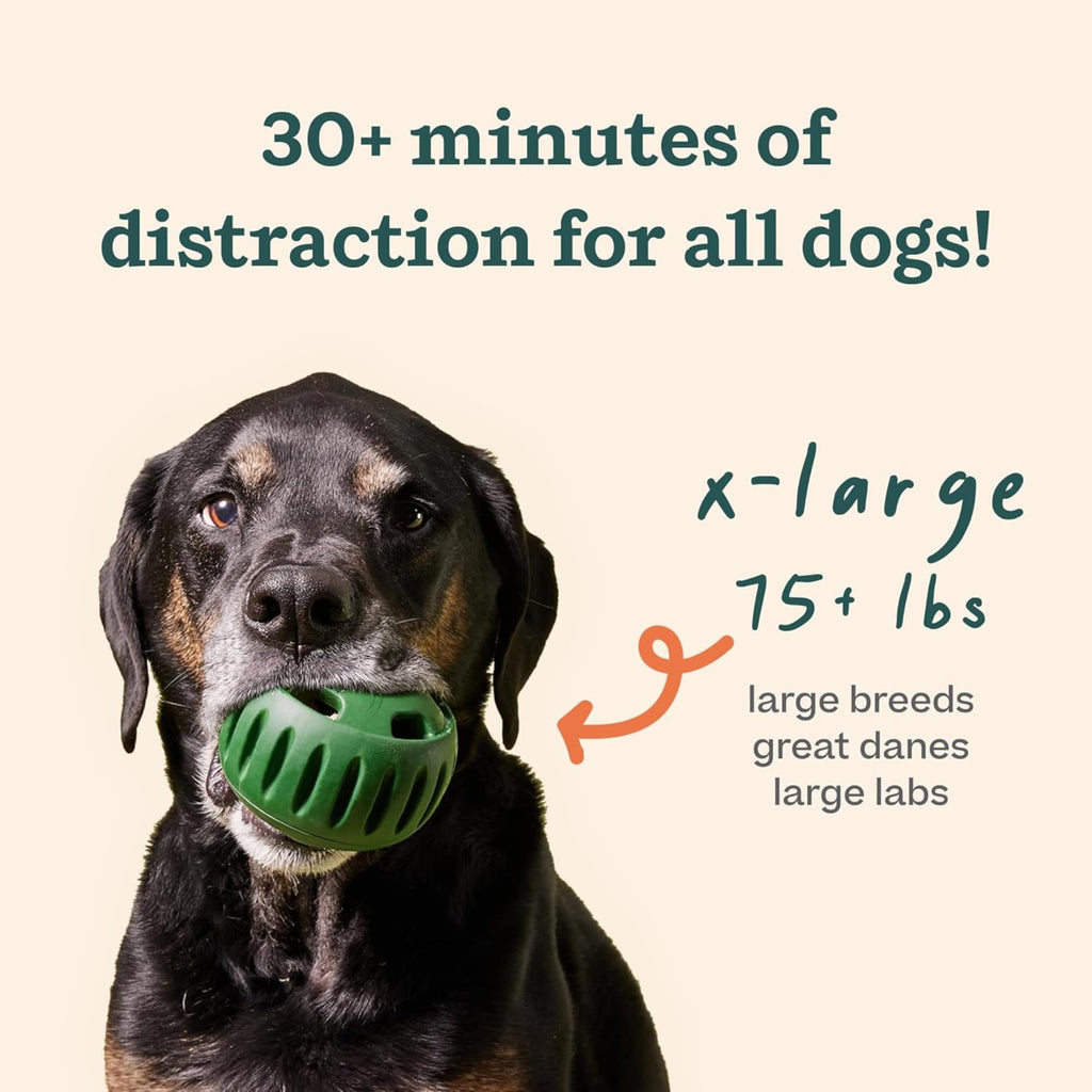 WOOF Pupsicle - Long-Lasting Interactive Dog Ball Toy to Keep Your Pup Busy and Distracted - Safe for Dogs - Low-Mess Design - Dog Toys for Small Dogs 10-25 lbs