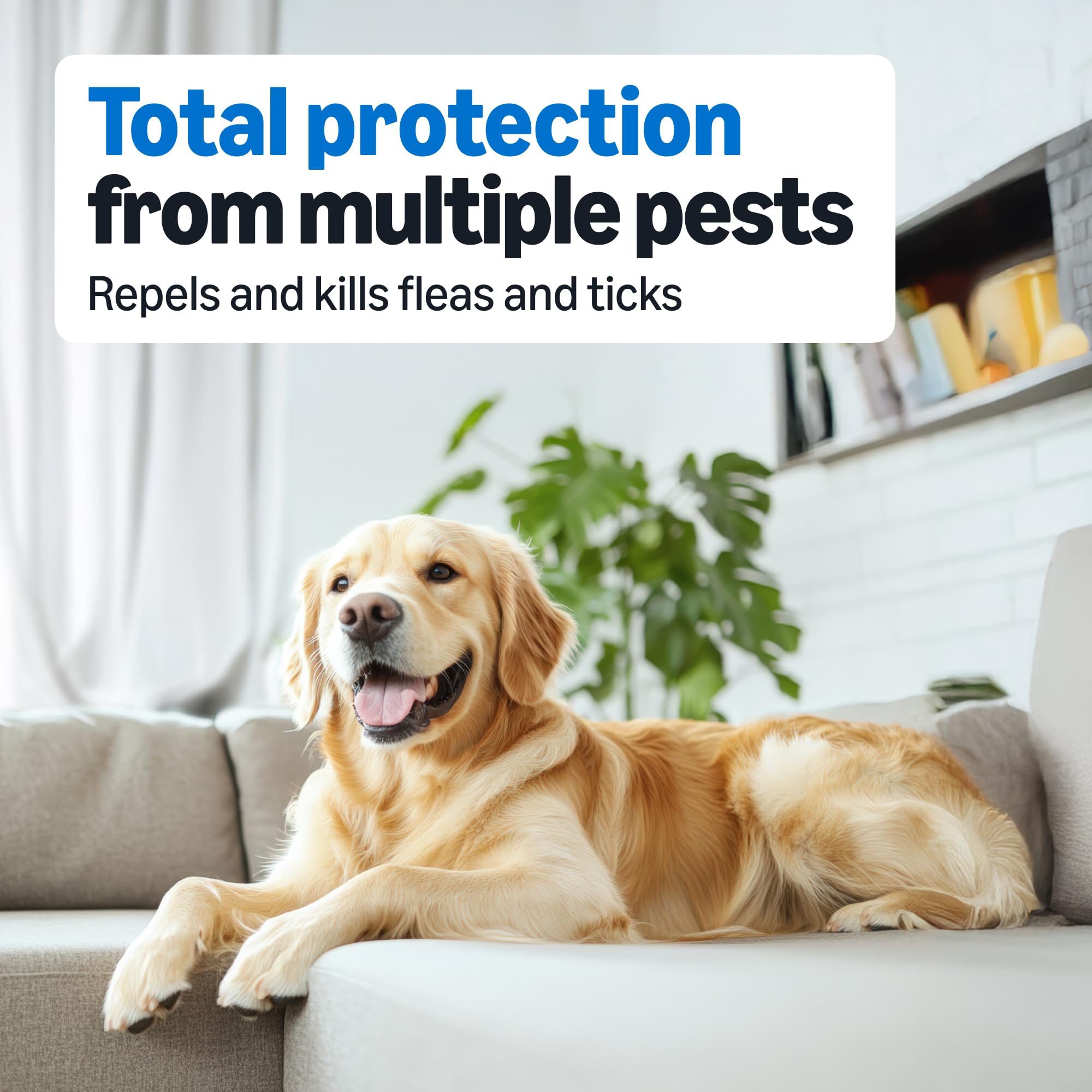 Amazon Basics Preventative Flea and Tick Topical Treatment for Medium Dogs (23-44 lbs), Up to 30 Days Protection, Fast Acting, 6 Counts, Packaging May Vary