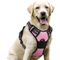 rabbitgoo Dog Harness No Pull with 2 Leash Clips, Adjustable Soft Padded, Reflective Oxford No Choke Pet Vest with Easy Control Handle for Large Dogs, Black, L