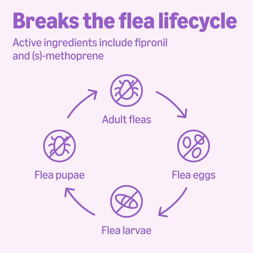 Amazon Basics Flea and Tick Topical Treatment and Prevention for Large Dogs (45-88 lbs), Fast Acting and Long Lasting, Tick Prevention, 6 Count, Packaging May Vary