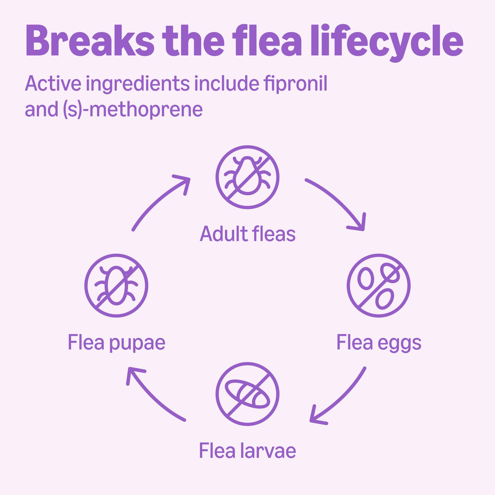 Amazon Basics Flea and Tick Topical Treatment and Prevention for Large Dogs (45-88 lbs), Fast Acting and Long Lasting, Tick Prevention, 6 Count, Packaging May Vary
