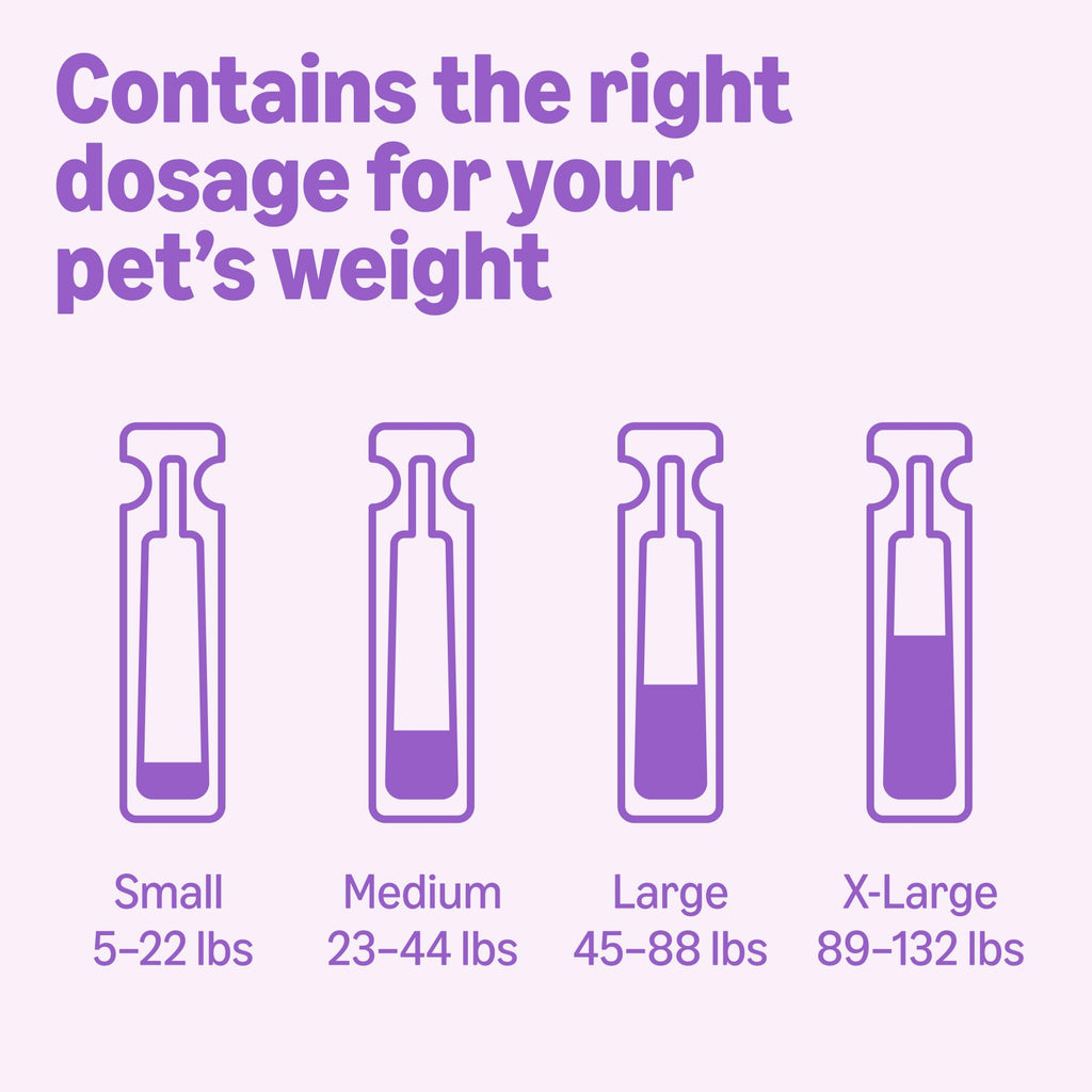 Amazon Basics Flea and Tick Topical Treatment and Prevention for Large Dogs (45-88 lbs), Fast Acting and Long Lasting, Tick Prevention, 6 Count, Packaging May Vary