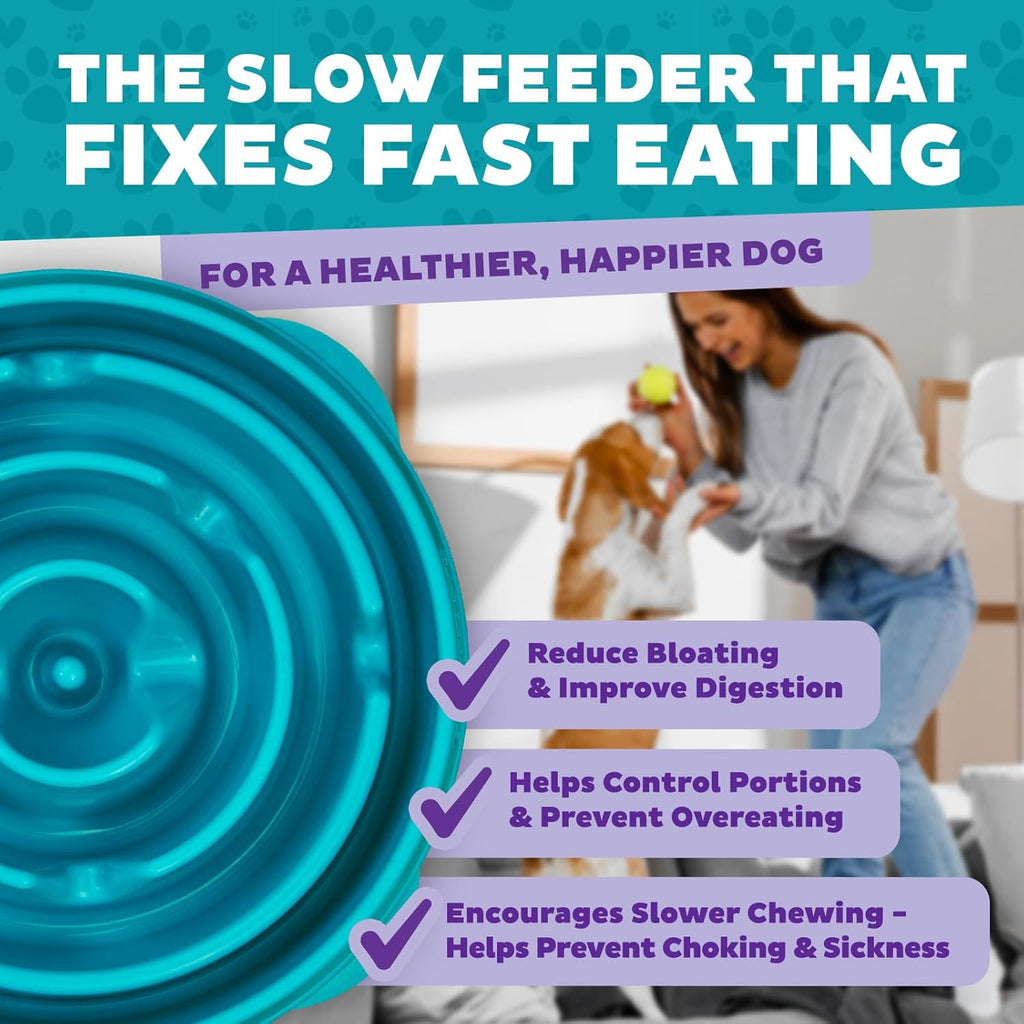 Outward Hound Fun Feeder Slo Bowl – Large 4‑Cup Capacity,Slow Feeding,Medium to Large Dogs,Non‑Slip,Orange,Swirl Pattern,(Pack of 6)