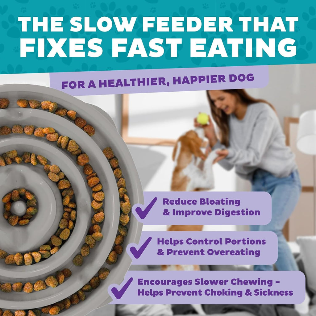 Outward Hound Fun Feeder Slo Bowl – Large 4‑Cup Capacity,Slow Feeding,Medium to Large Dogs,Non‑Slip,Orange,Swirl Pattern,(Pack of 6)