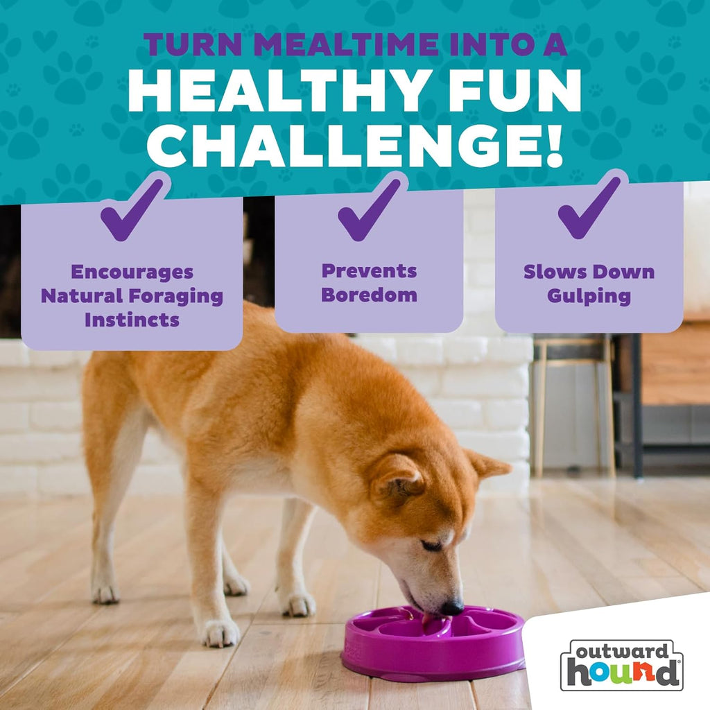 Outward Hound Fun Feeder Slo Bowl – Large 4‑Cup Capacity,Slow Feeding,Medium to Large Dogs,Non‑Slip,Orange,Swirl Pattern,(Pack of 6)