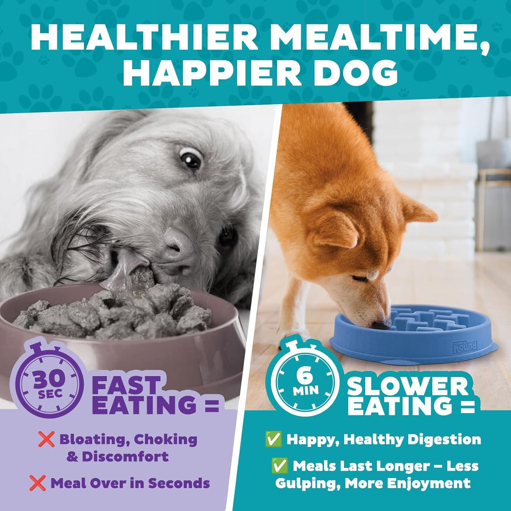 Outward Hound Fun Feeder Slo Bowl – Large 4‑Cup Capacity,Slow Feeding,Medium to Large Dogs,Non‑Slip,Orange,Swirl Pattern,(Pack of 6)