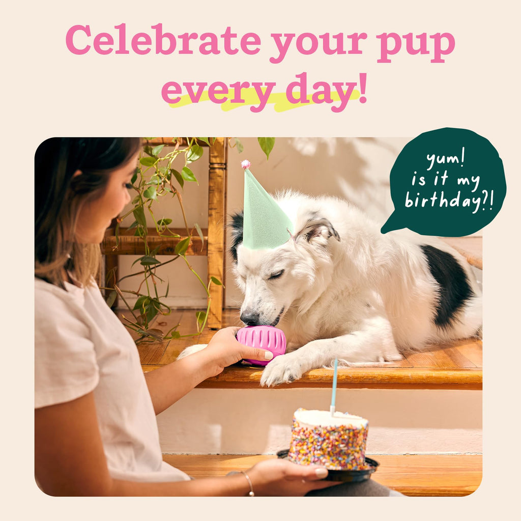 WOOF Pupsicle - Long-Lasting Interactive Dog Ball Toy to Keep Your Pup Busy and Distracted - Safe for Dogs - Low-Mess Design - Dog Toys for Small Dogs 10-25 lbs
