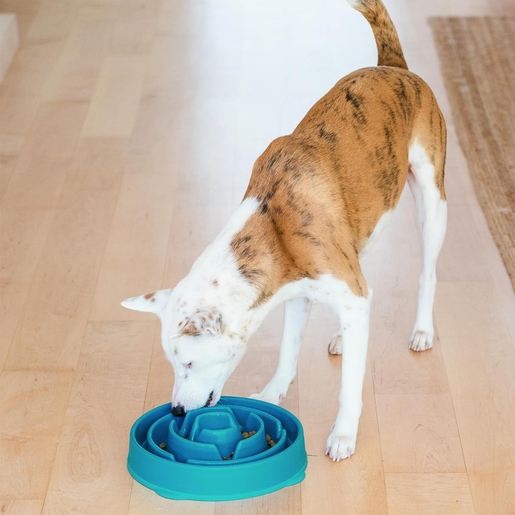 Outward Hound Fun Feeder Slo Bowl – Large 4‑Cup Capacity,Slow Feeding,Medium to Large Dogs,Non‑Slip,Orange,Swirl Pattern,(Pack of 6)