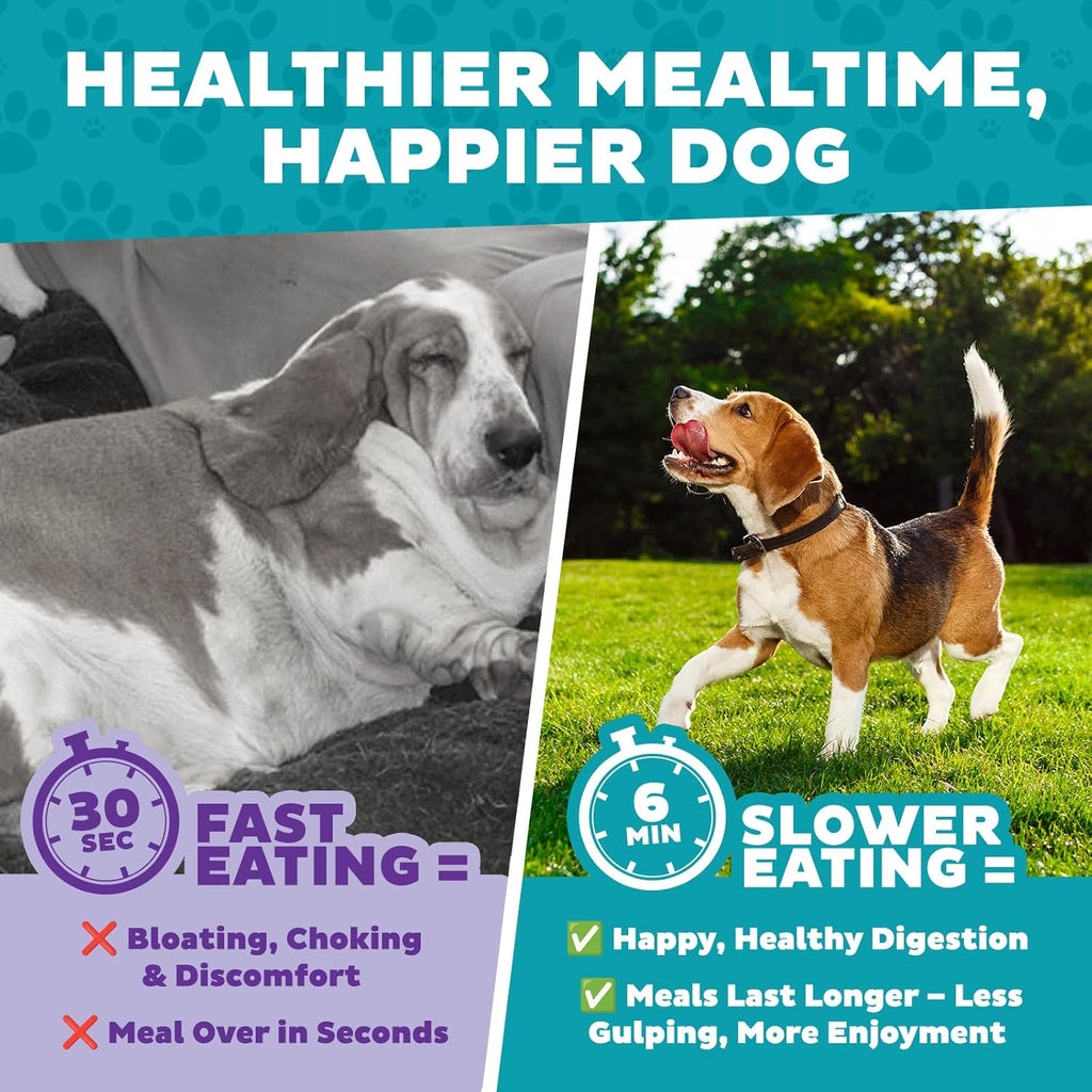 Outward Hound Fun Feeder Slo Bowl – Large 4‑Cup Capacity,Slow Feeding,Medium to Large Dogs,Non‑Slip,Orange,Swirl Pattern,(Pack of 6)