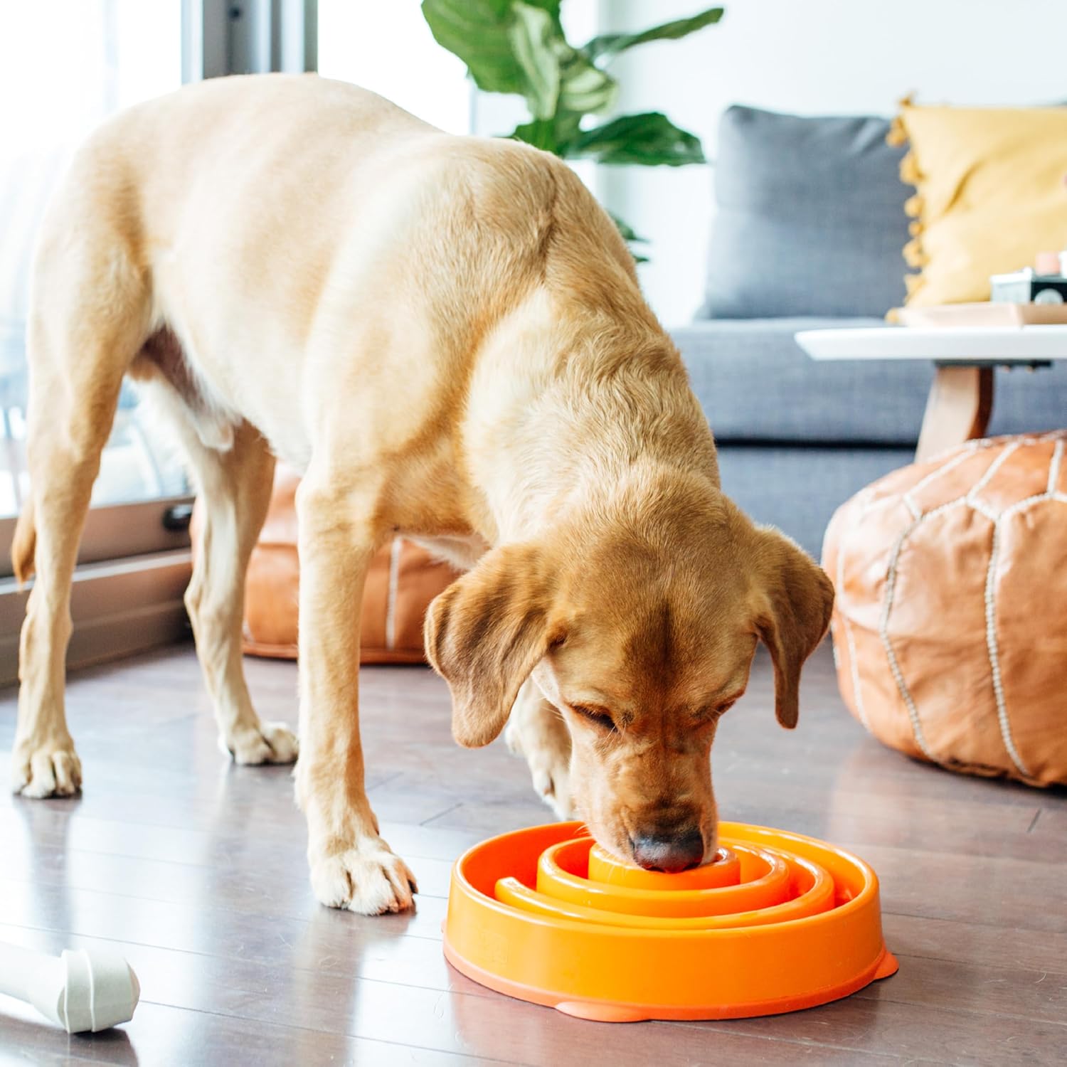 Outward Hound Fun Feeder Slo Bowl – Large 4‑Cup Capacity,Slow Feeding,Medium to Large Dogs,Non‑Slip,Orange,Swirl Pattern,(Pack of 6)