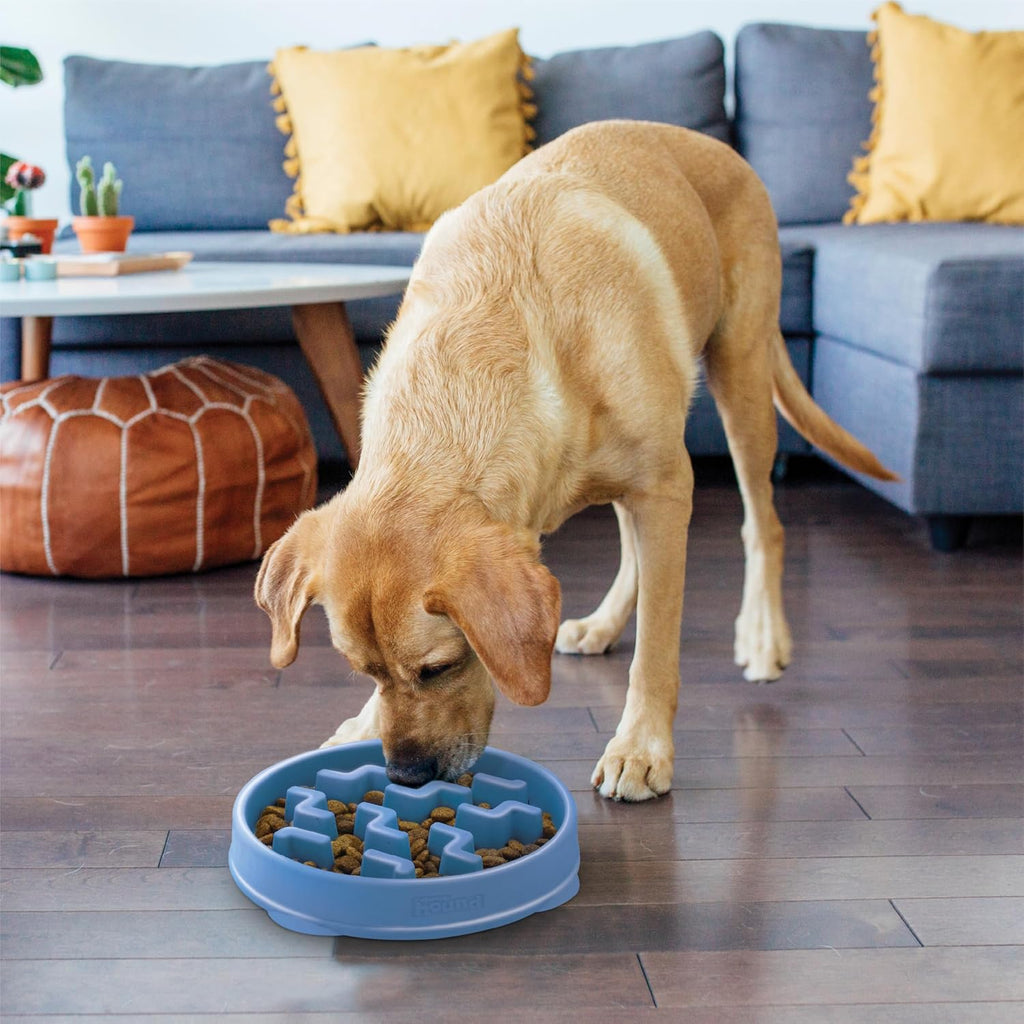 Outward Hound Fun Feeder Slo Bowl – Large 4‑Cup Capacity,Slow Feeding,Medium to Large Dogs,Non‑Slip,Orange,Swirl Pattern,(Pack of 6)
