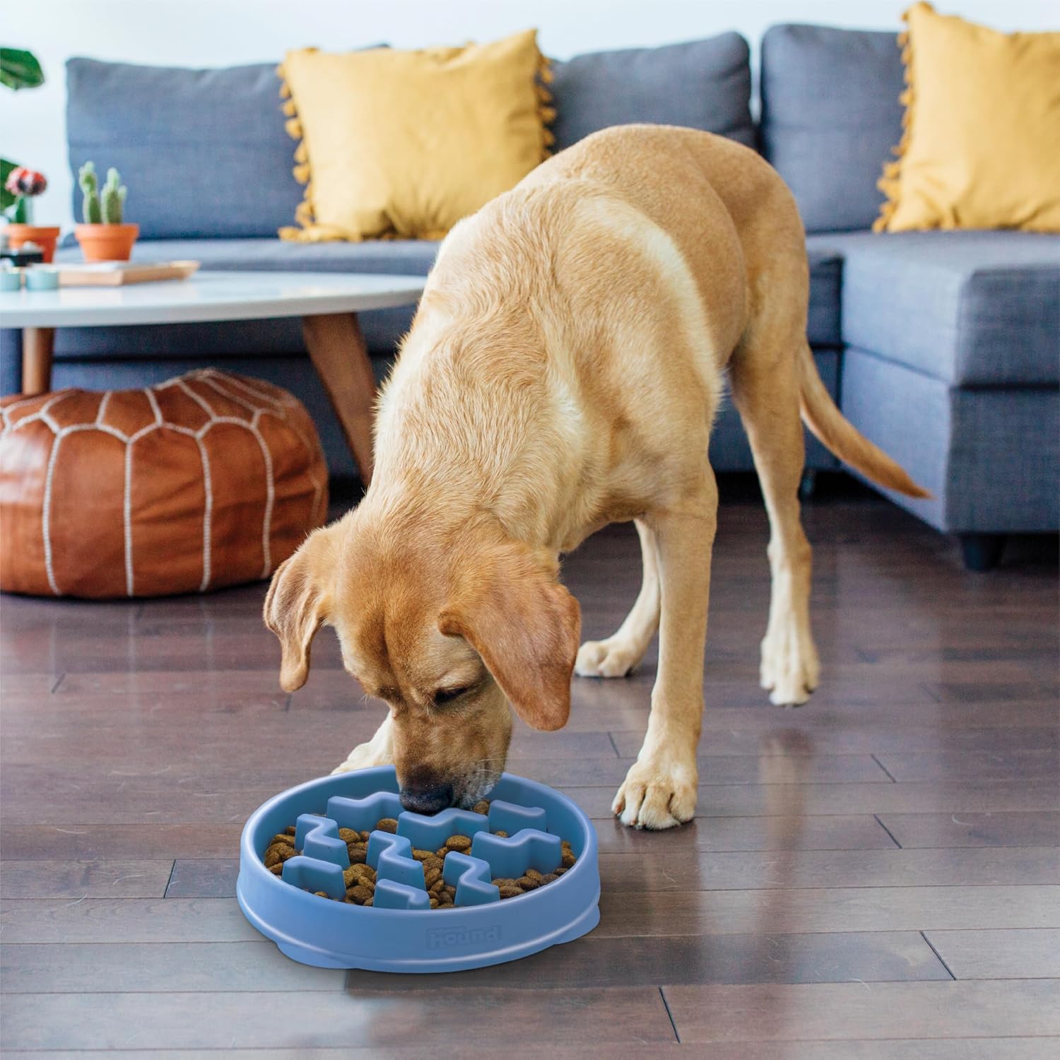 Outward Hound Fun Feeder Slo Bowl – Large 4‑Cup Capacity,Slow Feeding,Medium to Large Dogs,Non‑Slip,Orange,Swirl Pattern,(Pack of 6)