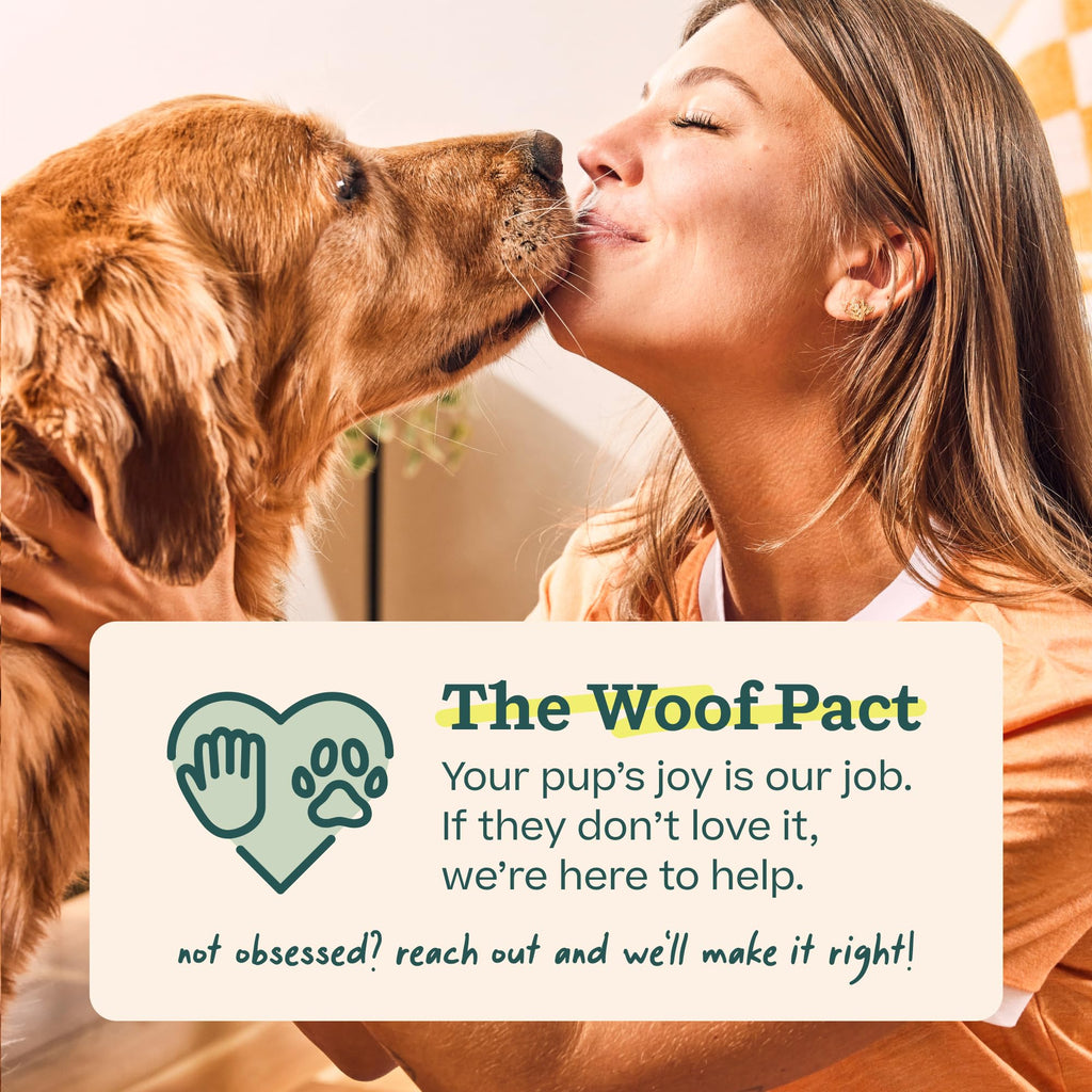 WOOF Pupsicle - Long-Lasting Interactive Dog Ball Toy to Keep Your Pup Busy and Distracted - Safe for Dogs - Low-Mess Design - Dog Toys for Small Dogs 10-25 lbs