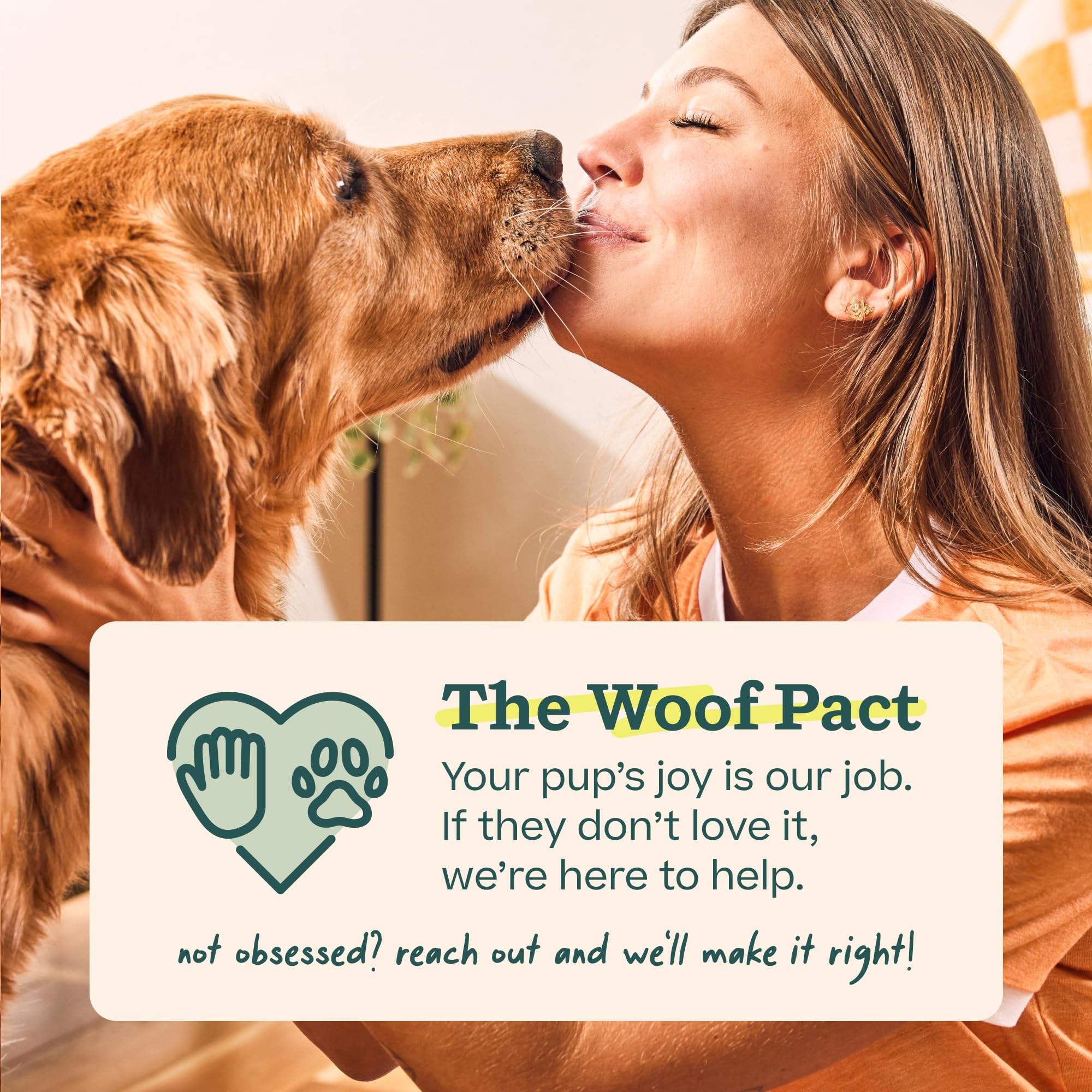 WOOF Pupsicle - Long-Lasting Interactive Dog Ball Toy to Keep Your Pup Busy and Distracted - Safe for Dogs - Low-Mess Design - Dog Toys for Small Dogs 10-25 lbs