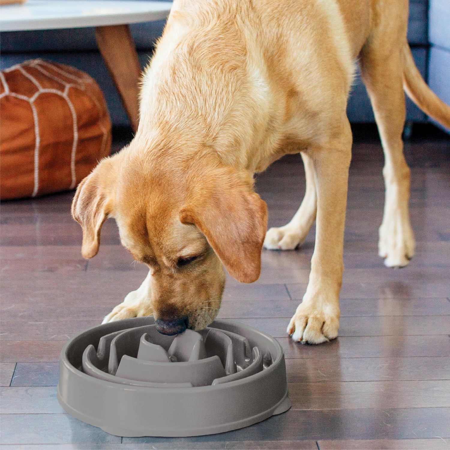 Outward Hound Fun Feeder Slo Bowl – Large 4‑Cup Capacity,Slow Feeding,Medium to Large Dogs,Non‑Slip,Orange,Swirl Pattern,(Pack of 6)