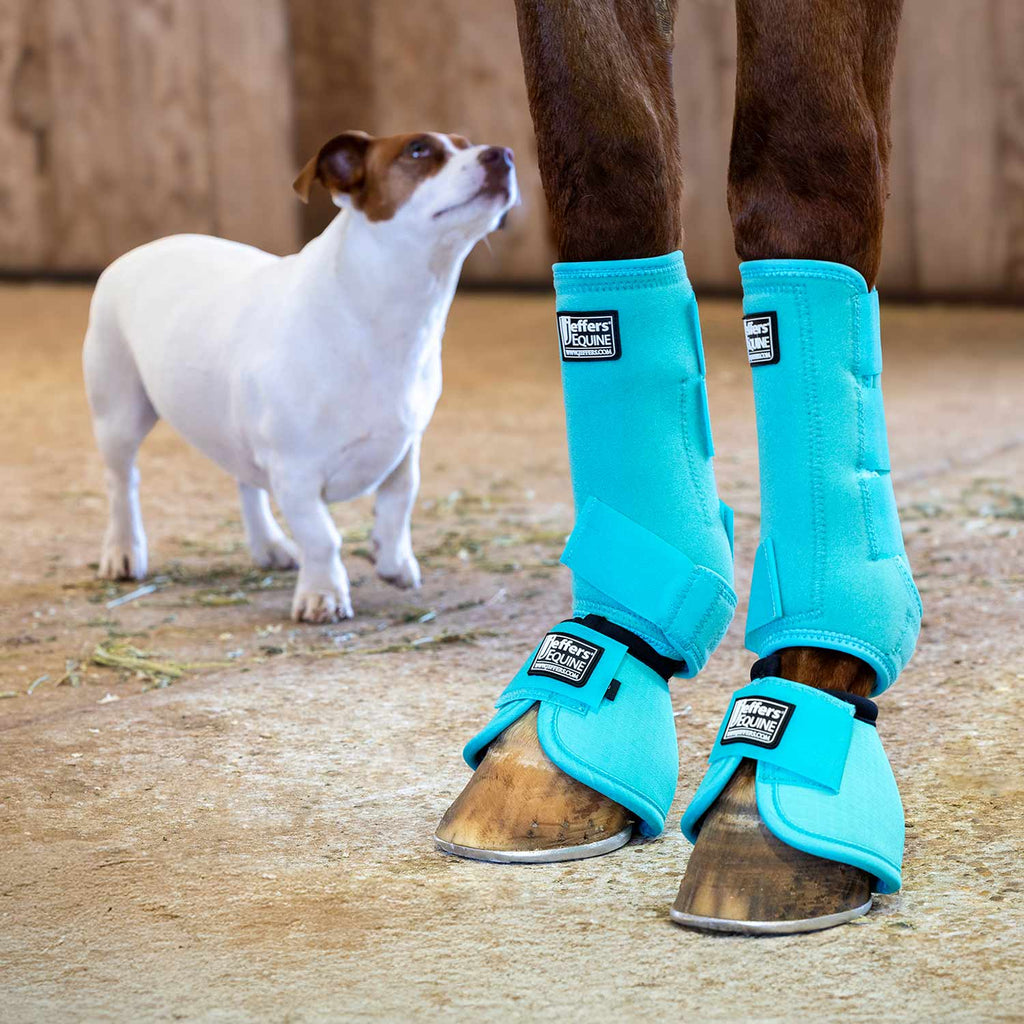 Jeffers Protective Horse Boots, Solid Colors